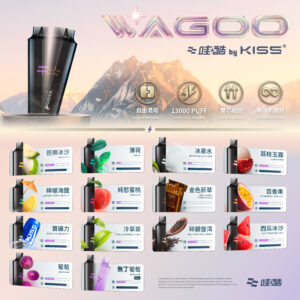 微信图片_20260318134216_484_1900 迪拜爆款【WAGOO❣️哇酷拋棄式6500口❣️】by KIS5 的高端品牌 【滿10送1】